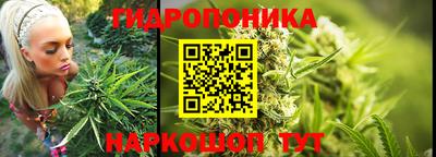 spice Бузулук